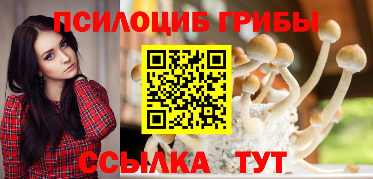 Галлюциногенные грибы ЛСД Лесозаводск
