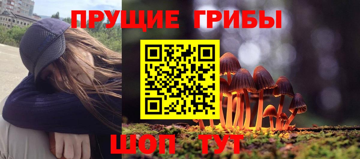 Псилоцибиновые грибы ЛСД  Вход с VPN  цена наркотик  Лесозаводск  Псилоцибиновые грибы мицелий 